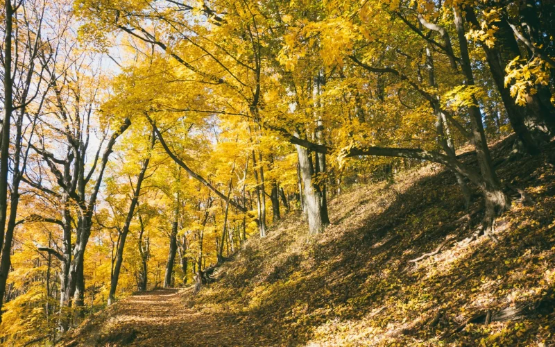 Foto von Aaron Burden auf Unsplash2